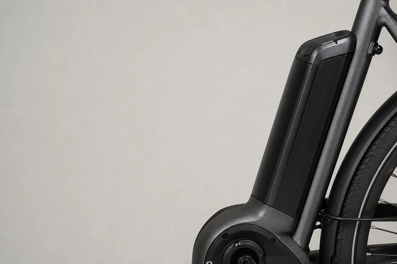 Buying an e-bike this year? How to check the battery will still exist in five years